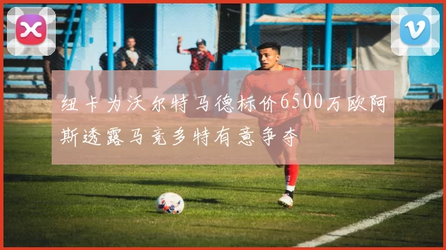 纽卡为沃尔特马德标价6500万欧阿斯透露马竞多特有意争夺