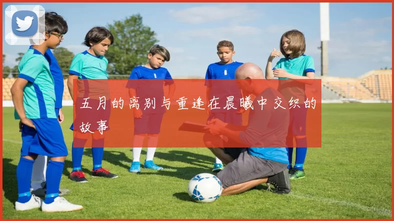 五月的离别与重逢在晨曦中交织的故事