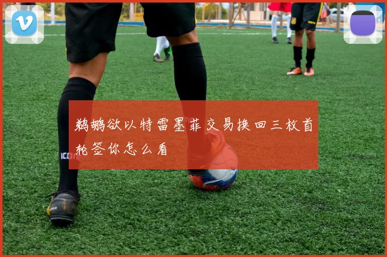 鹈鹕欲以特雷墨菲交易换回三枚首轮签你怎么看